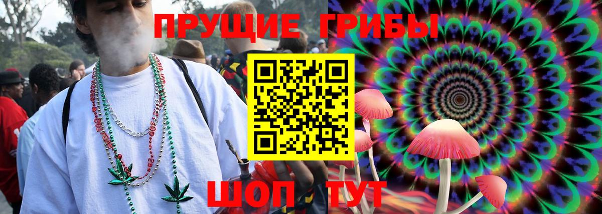 Ртищево  Псилоцибиновые грибы прущие грибы  Вход с VPN 